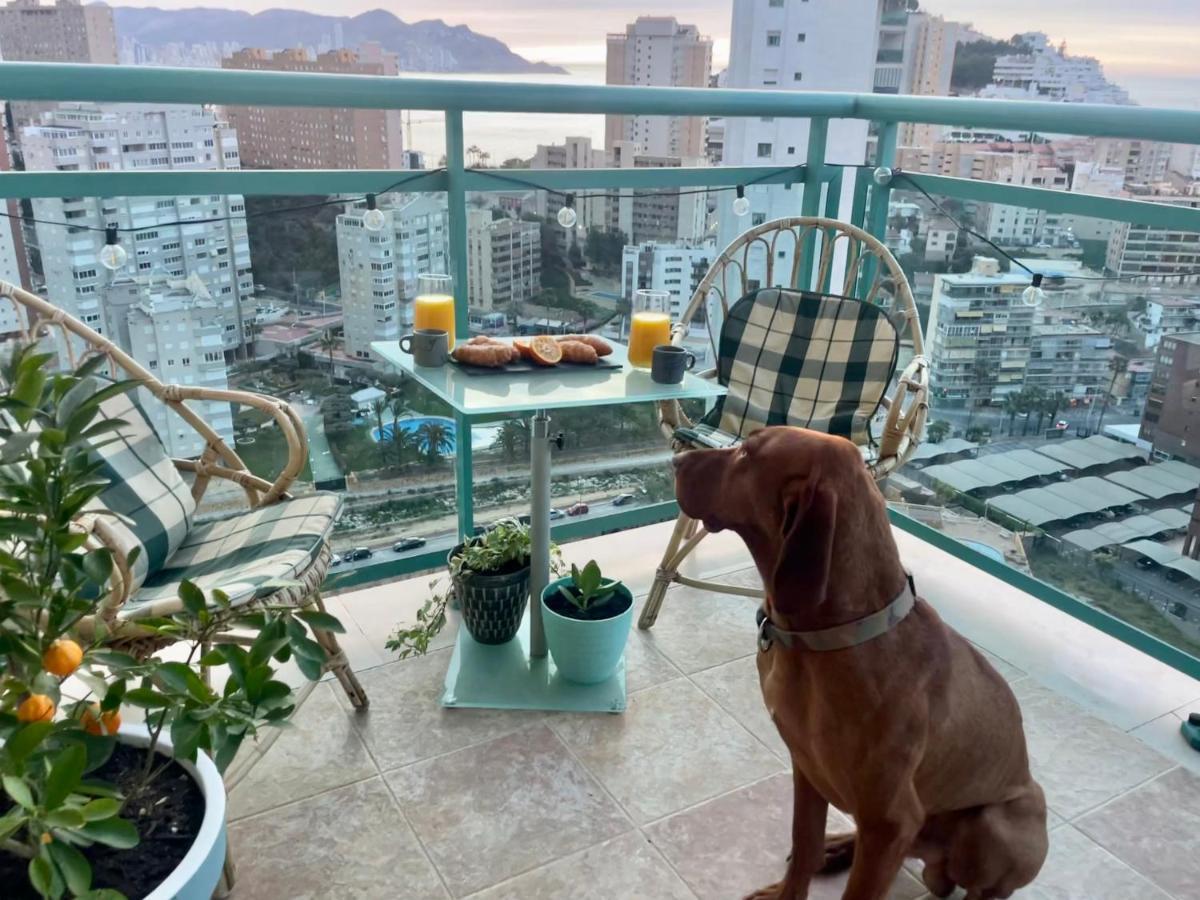 Traveler'S Beach Apartment With Sea View, Free Coffee & Parking เบนิดอร์ม ภายนอก รูปภาพ